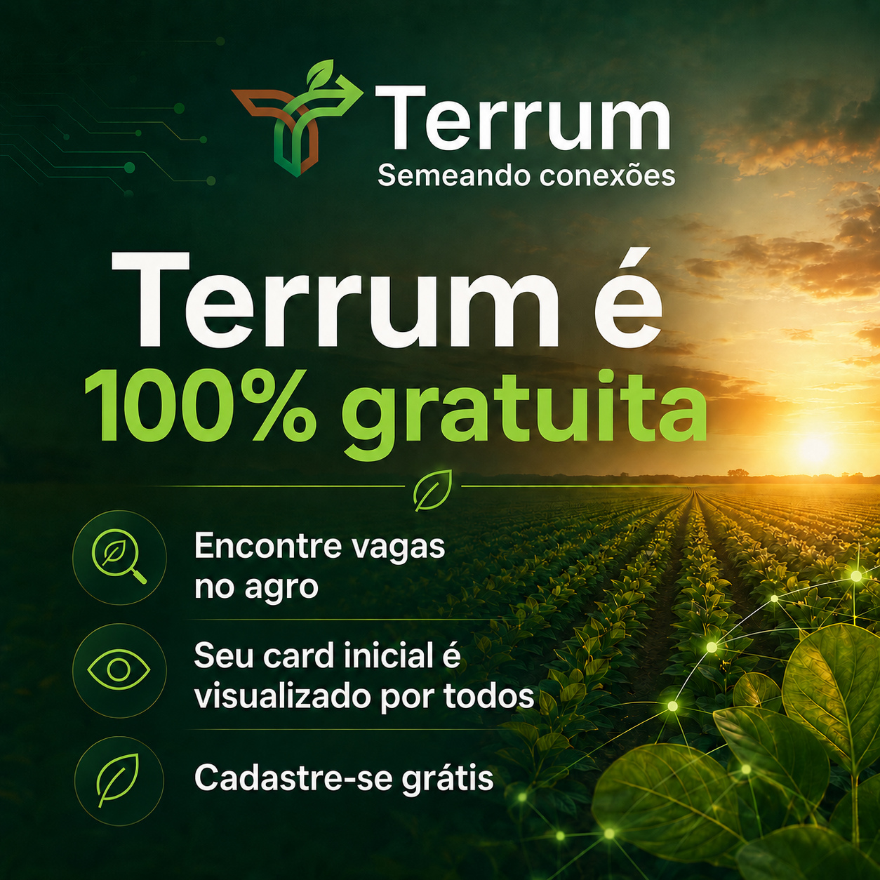 Comunicado Terrum